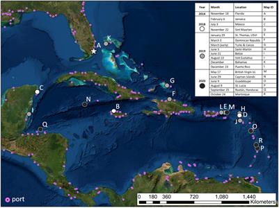 Considering Commercial Vessels as Potential Vectors of Stony Coral Tissue Loss Disease